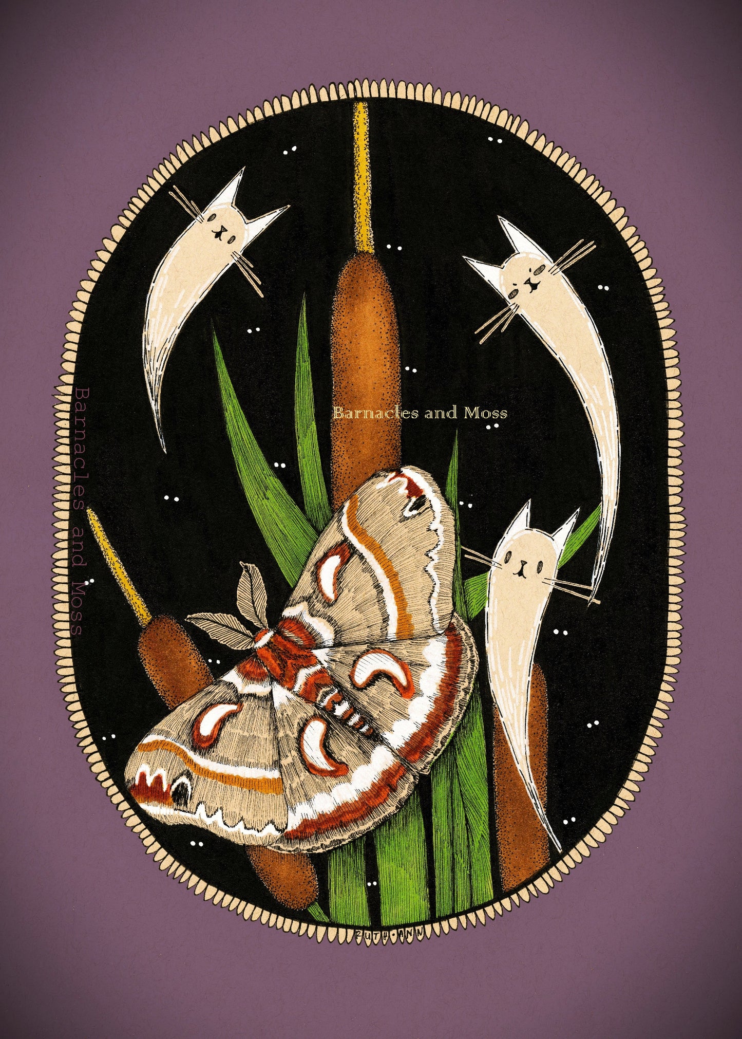 Cecropia Silk Moth Fine Art Print