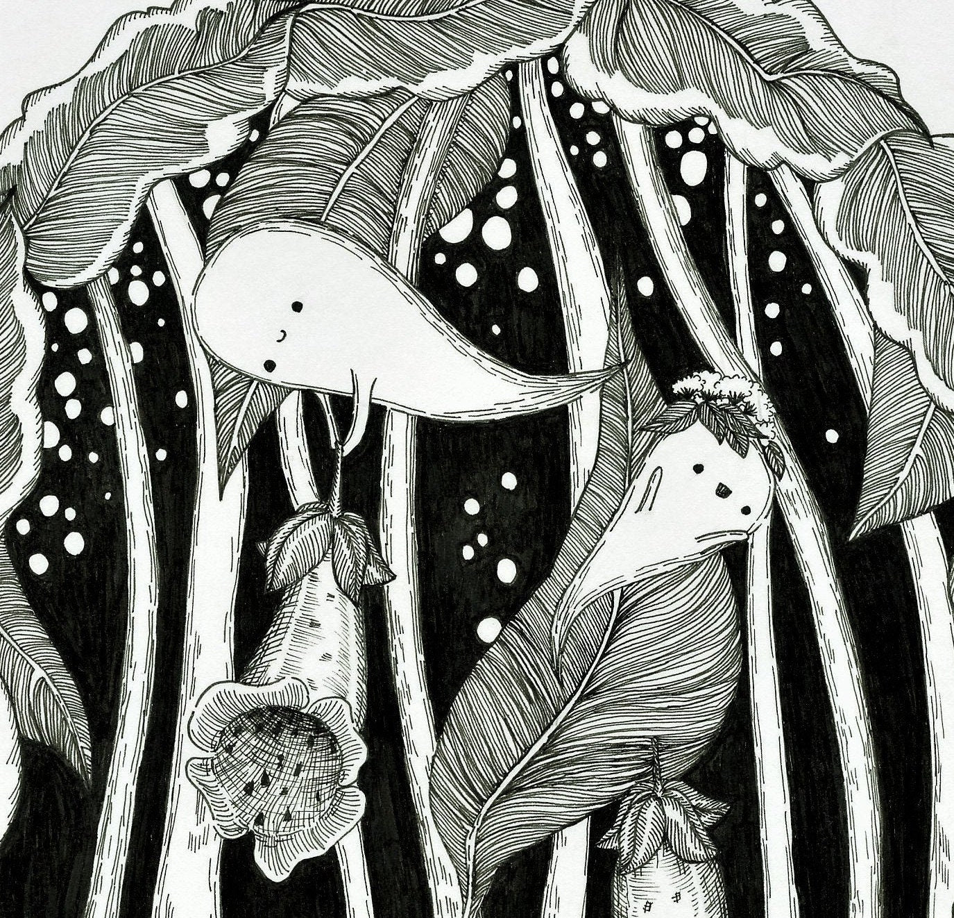 Foxy Frogs Fine Art Print