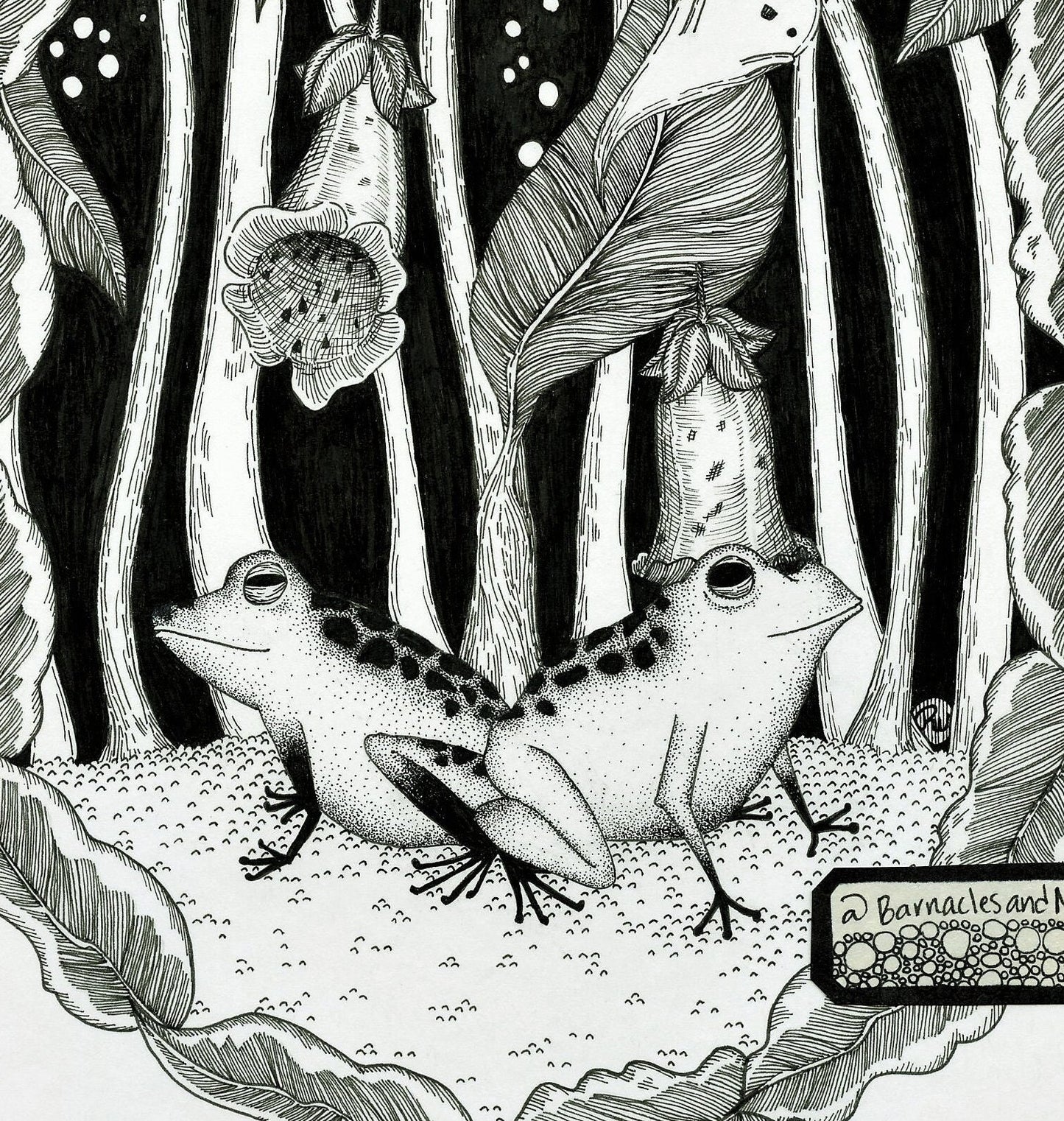 Foxy Frogs Fine Art Print