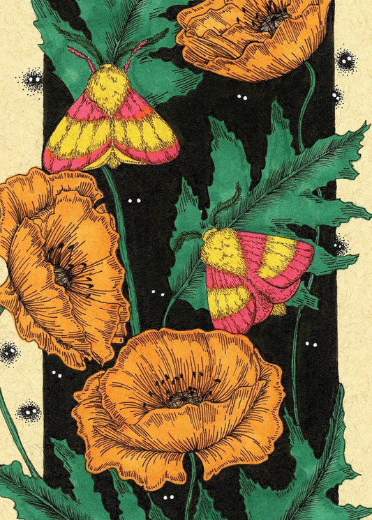 Rosy Maple Moths In The Poppies Fine Art Print