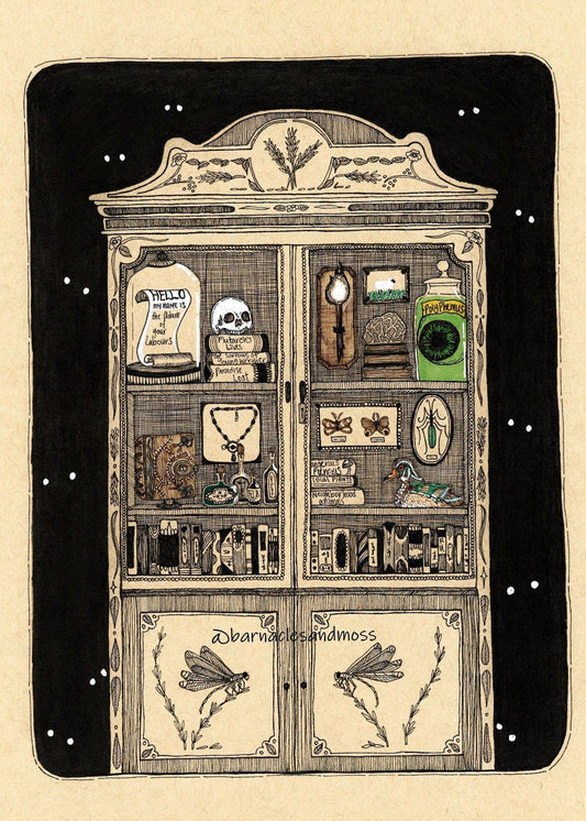 Cabinet of Curiosities Fine Art Print