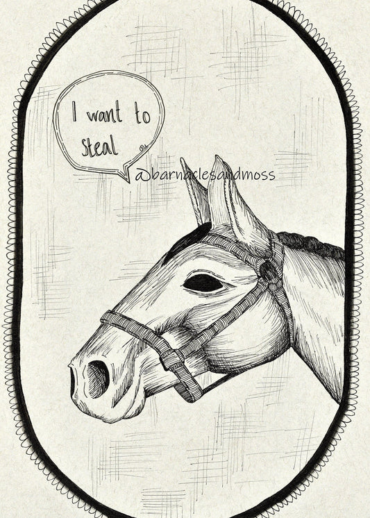 Fred Fine Art Print