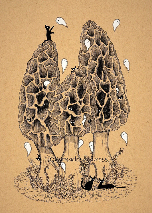 Cats in the Morel Mushrooms Fine Art Print
