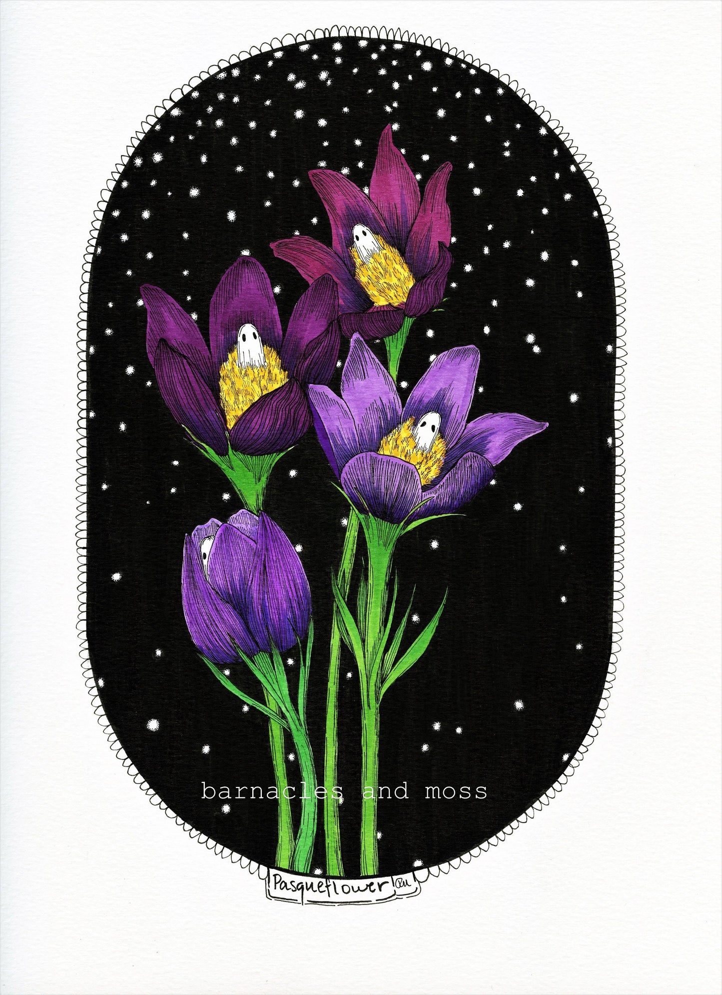 Pasqueflower Fine Art Print