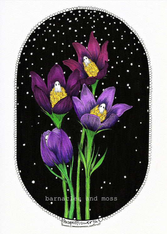 Pasqueflower Fine Art Print