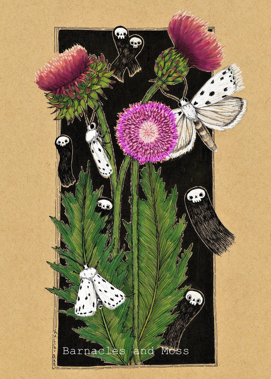 Thistle Ermine Fine Art Print