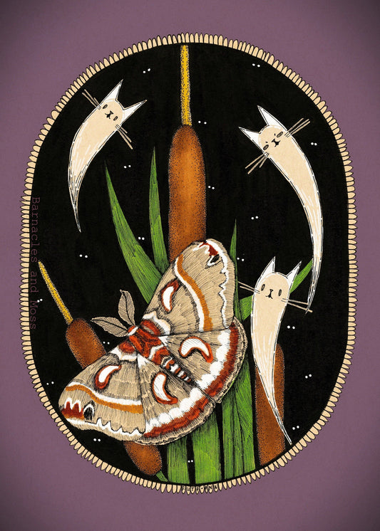 Cecropia Silk Moth Fine Art Print