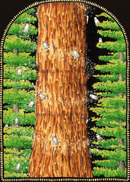 The Redwood Fine Art Print