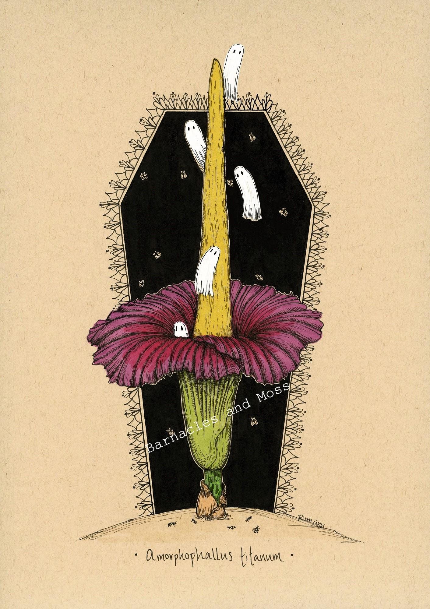 Corpse Flower Fine Art Print