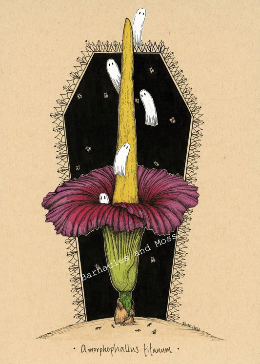 Corpse Flower Fine Art Print