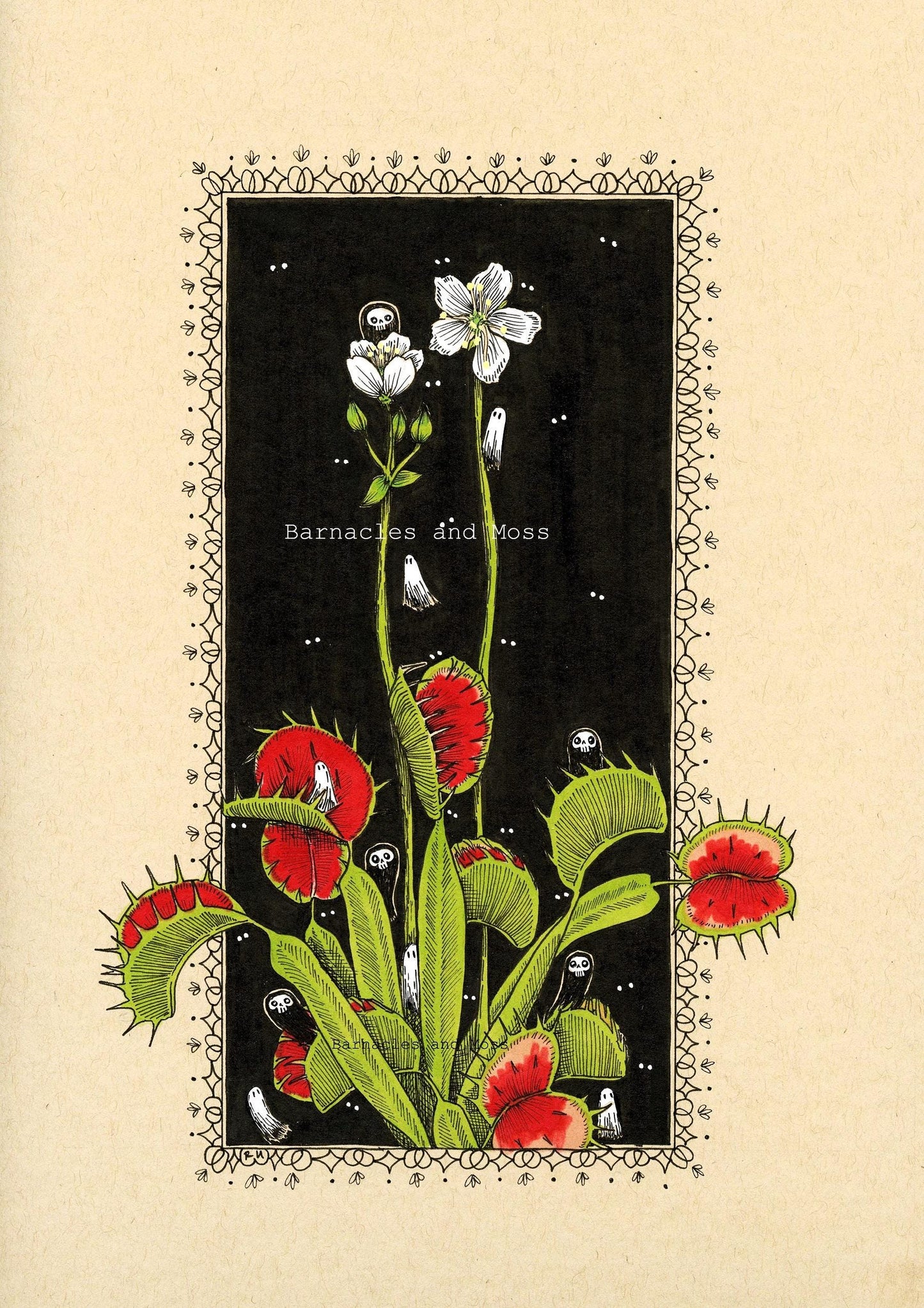 Venus Flytrap Fine Art Print