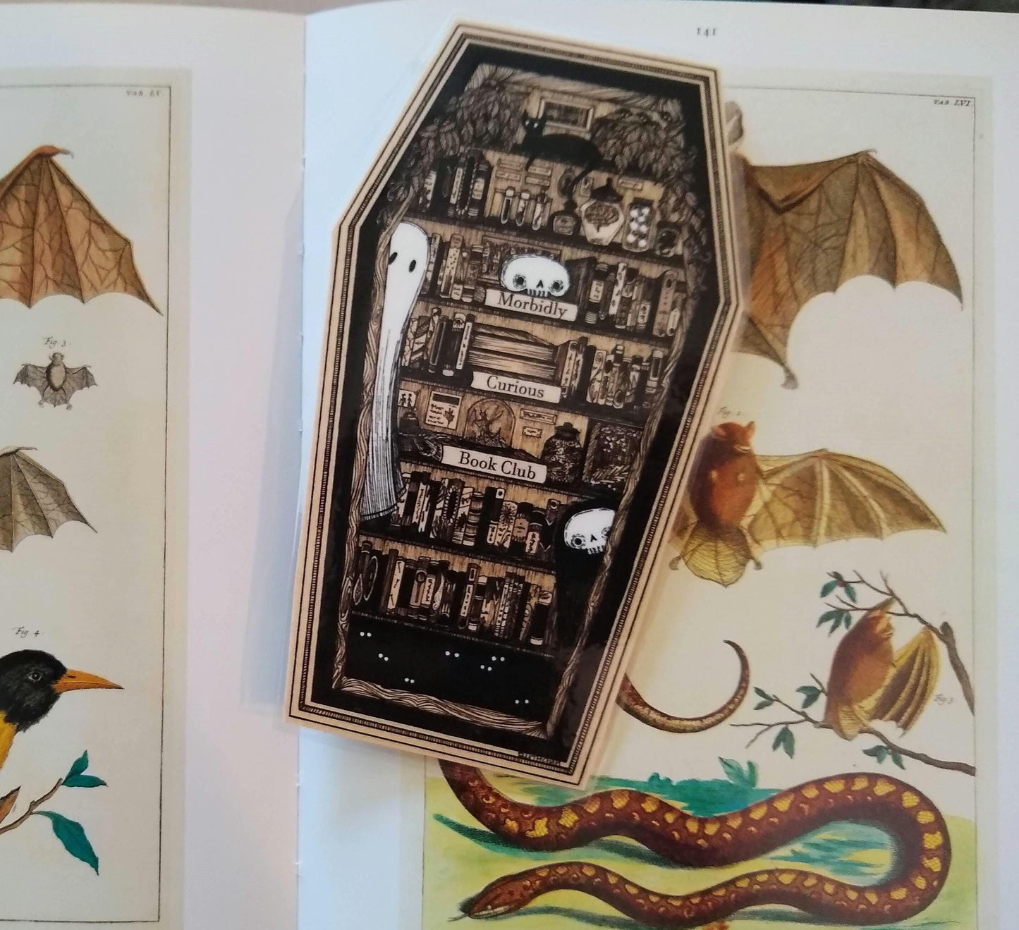 The Morbidly Curious Book Club Bookmark
