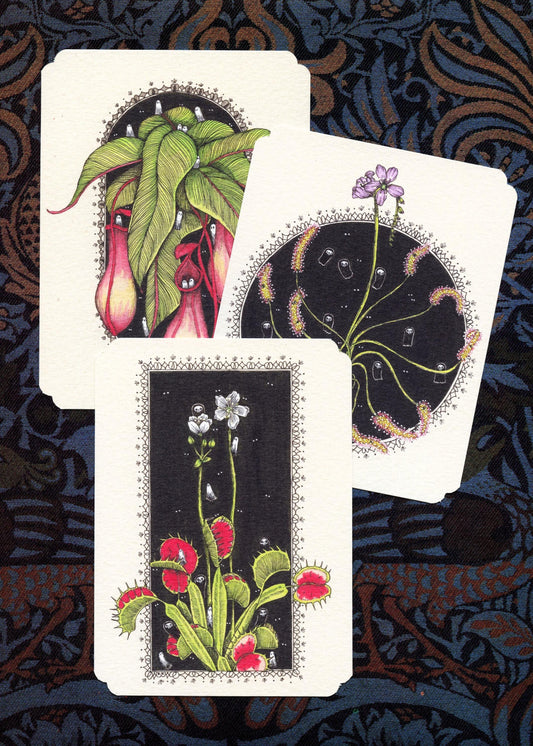 Set of 3 Frameable Carnivorous Plants Card Set
