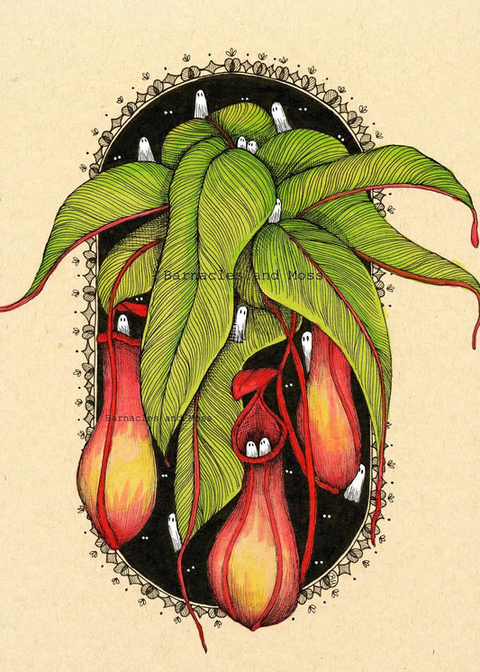 Pitcher Plant Fine Art Print