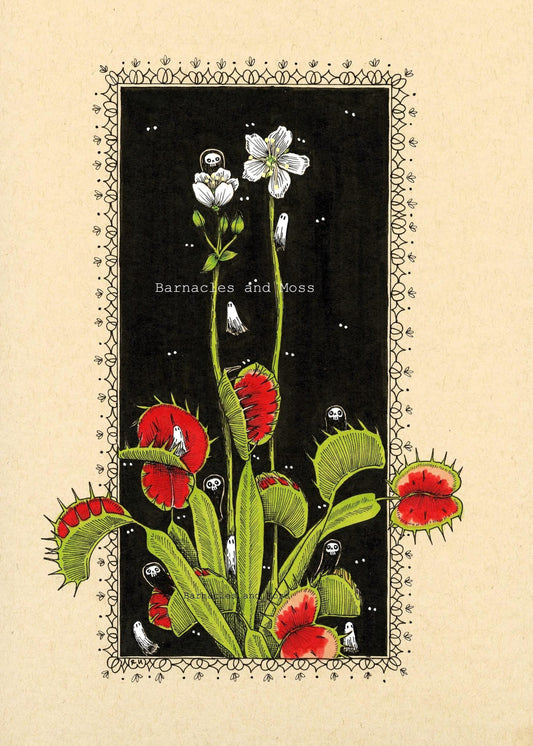 Venus Flytrap Fine Art Print