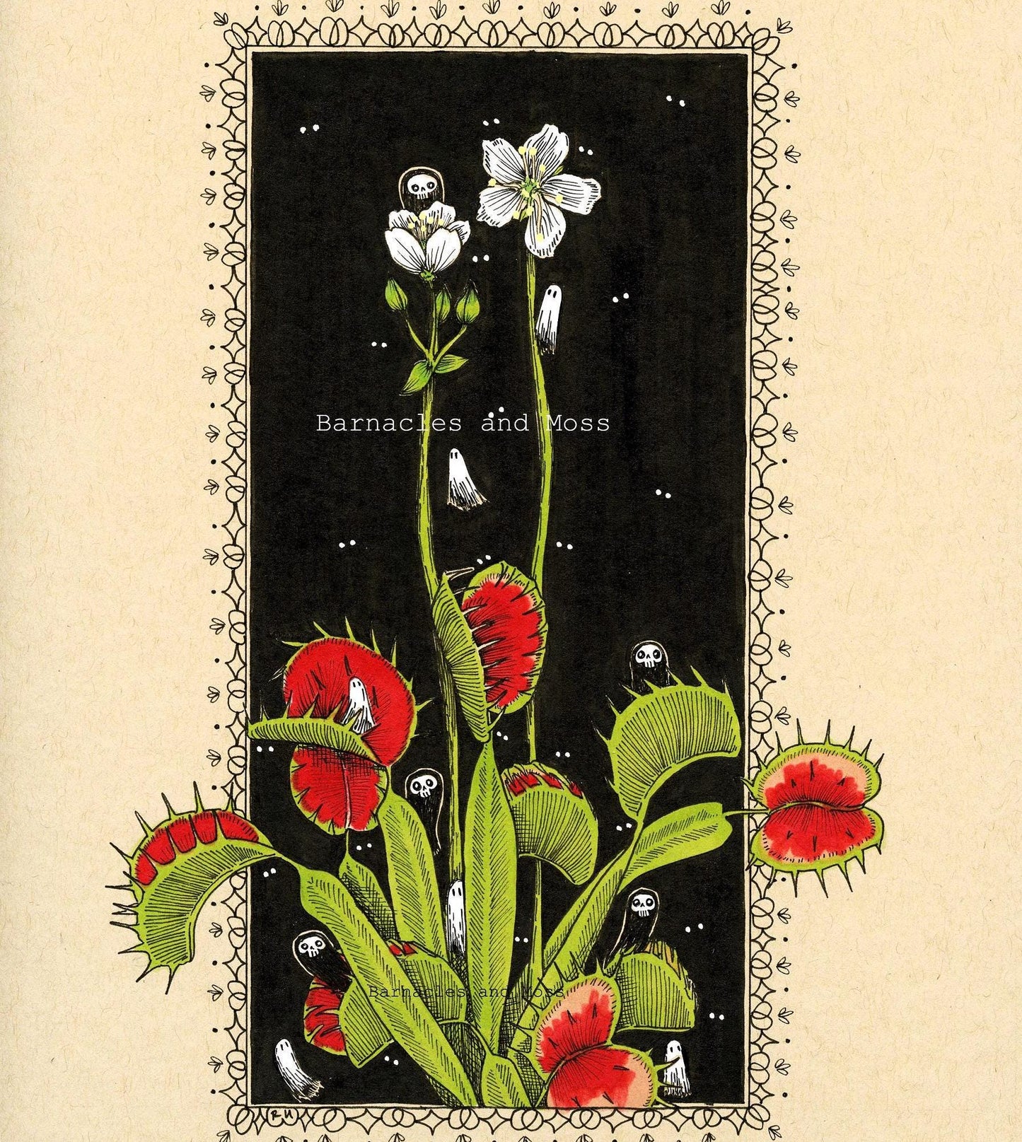 Venus Flytrap Fine Art Print